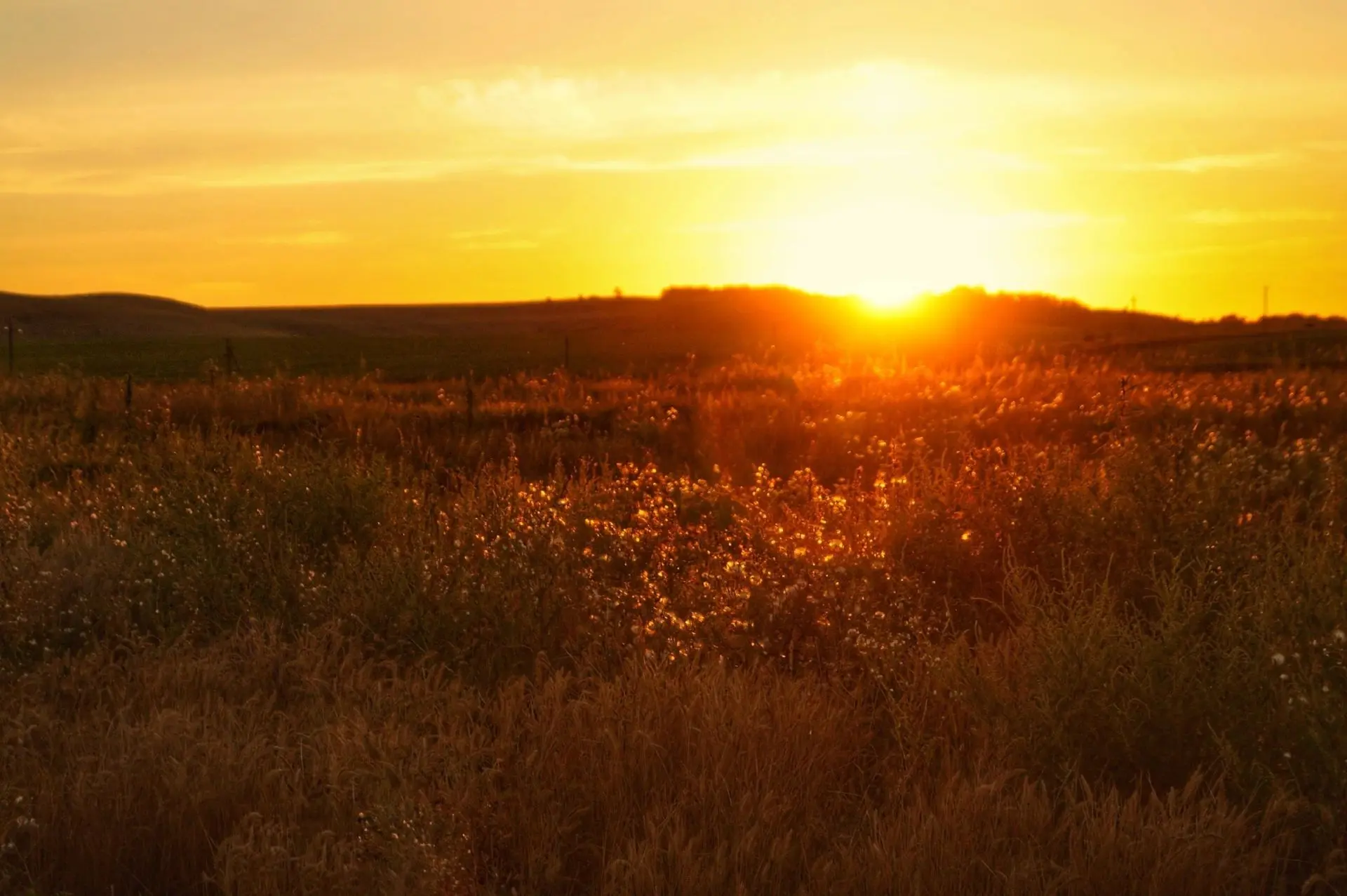 Вот и минуло лето красное. 🌞