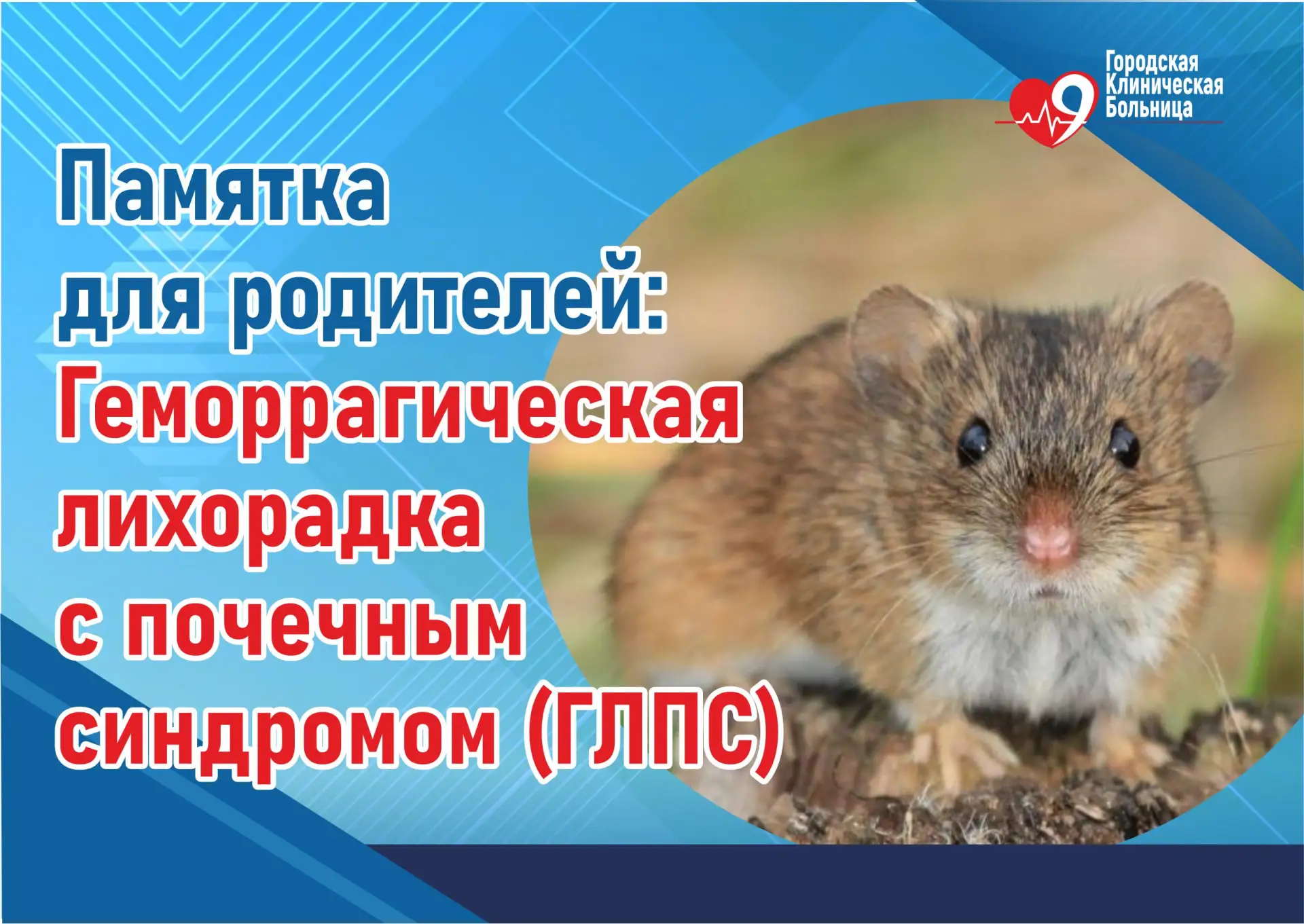 Памятка для родителей: Геморрагическая лихорадка с почечным синдромом (ГЛПС)