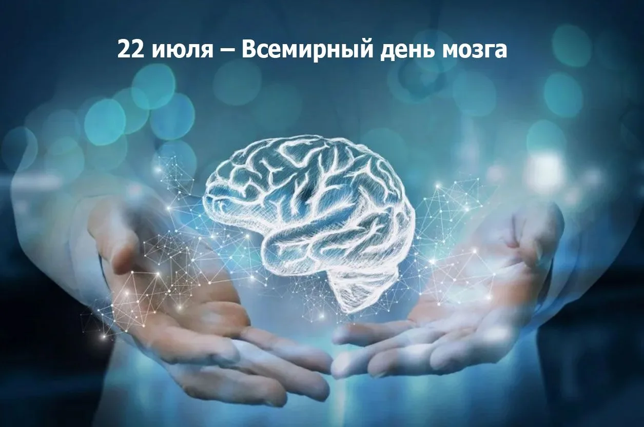 🧠Головной мозг – это основной орган, который управляет центральной нервной системой. Е...