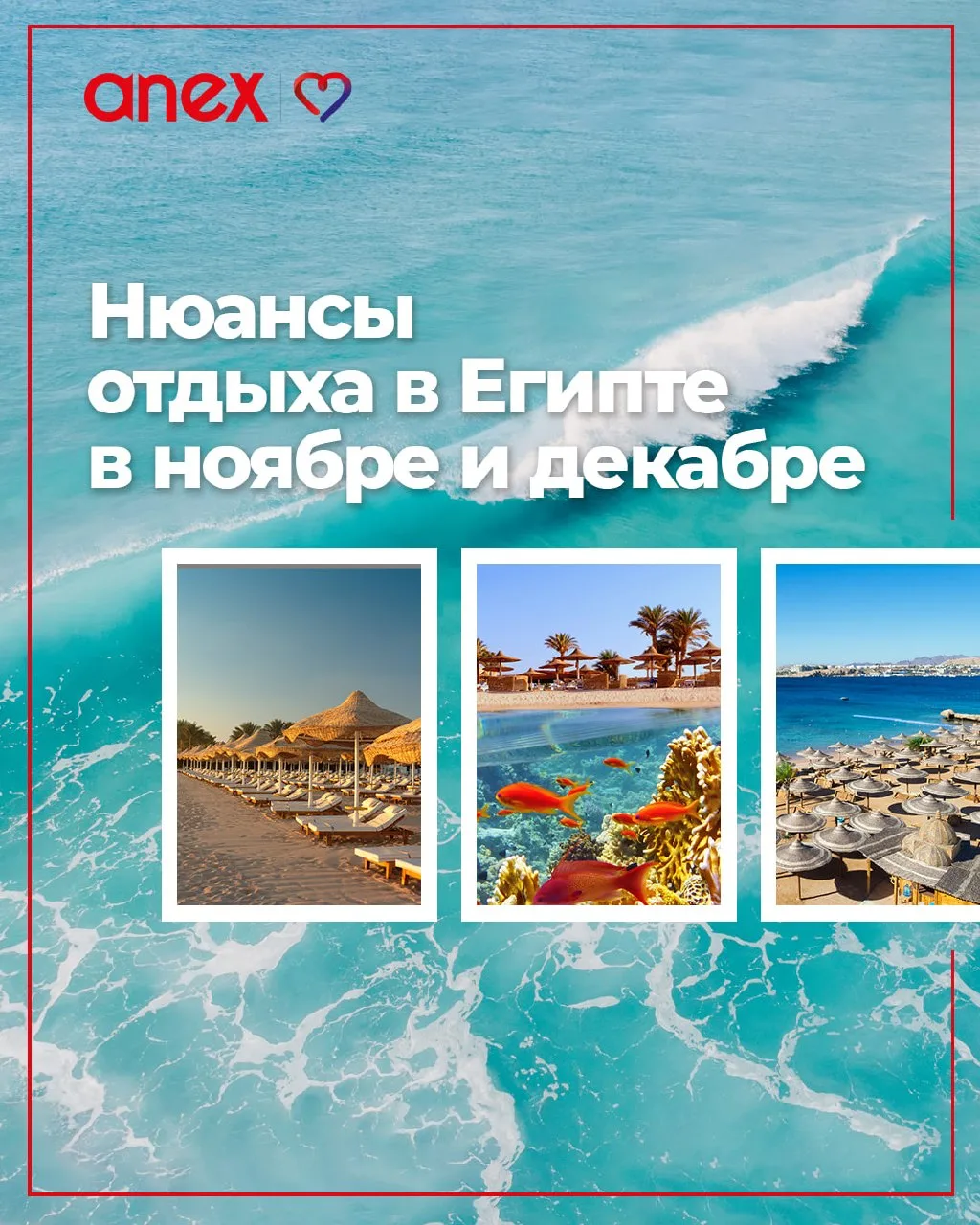 🇪🇬 Стоит ли ехать в Египет в конце ноября и начале декабря? Да, но...