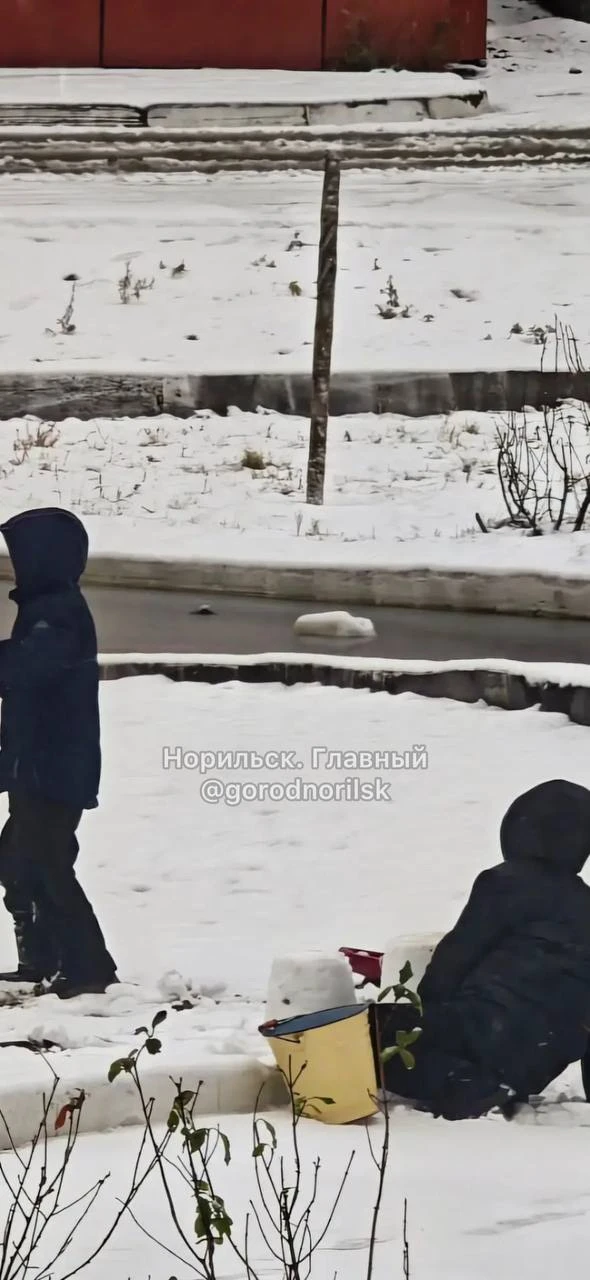 ❄️ Город потихоньку накрывает снегом, дети начинают лепить первых снеговиков