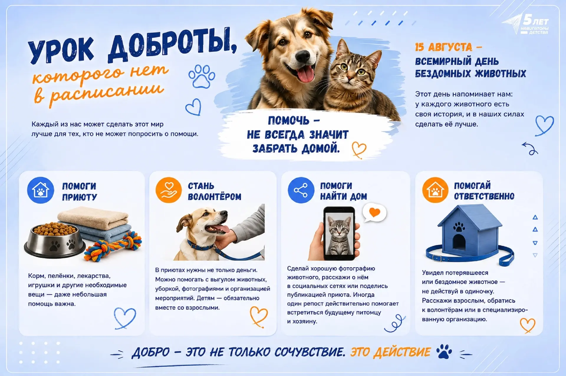 🐾 Сегодня Всемирный день бездомных животных!