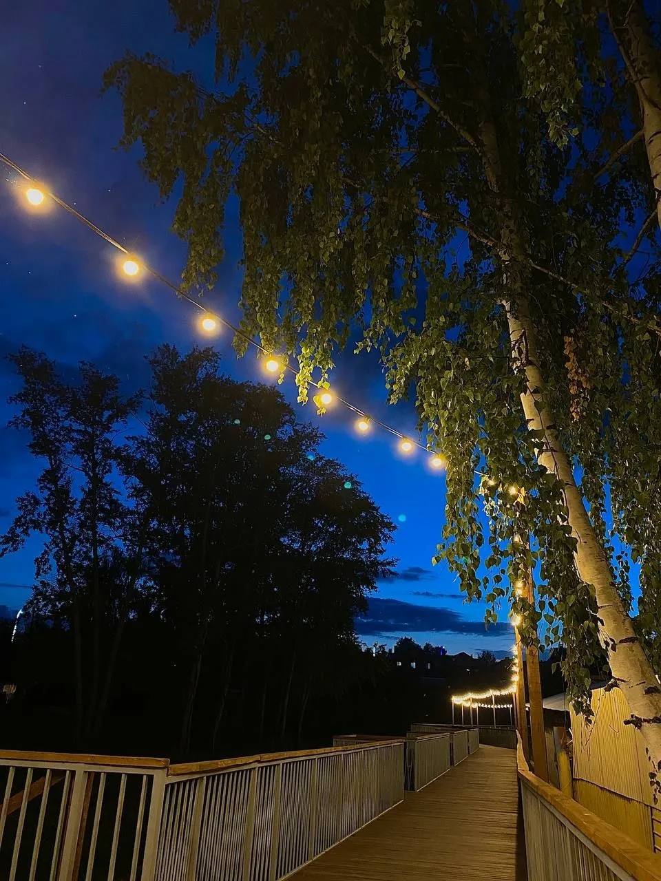 🌙 Доброй ночи, Кукмор!