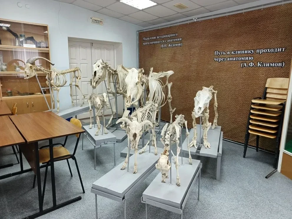 👩‍🔬 Ученики 7 и 9 классов провели незабываемый день в Агротехнологическом университете! 🐾🎓 Они позна