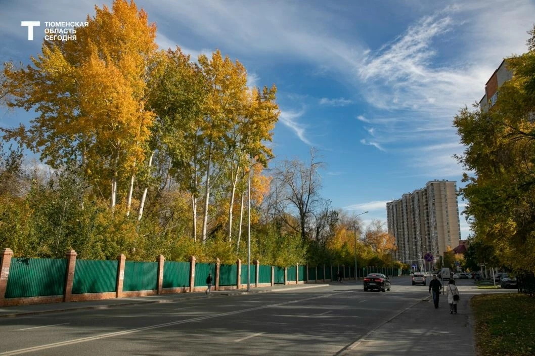 #Мнениеэксперта. Октябрь–2026 в Тюмени будет теплым, но дождливым☝