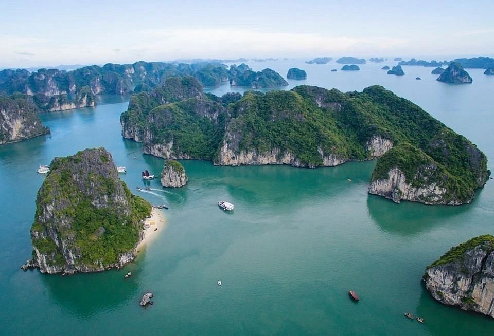 🇻🇳 ВАКАНСИЯ ВО ВЬЕТНАМЕ: СОВРЕМЕННАЯ ШКОЛА У МОРЯ