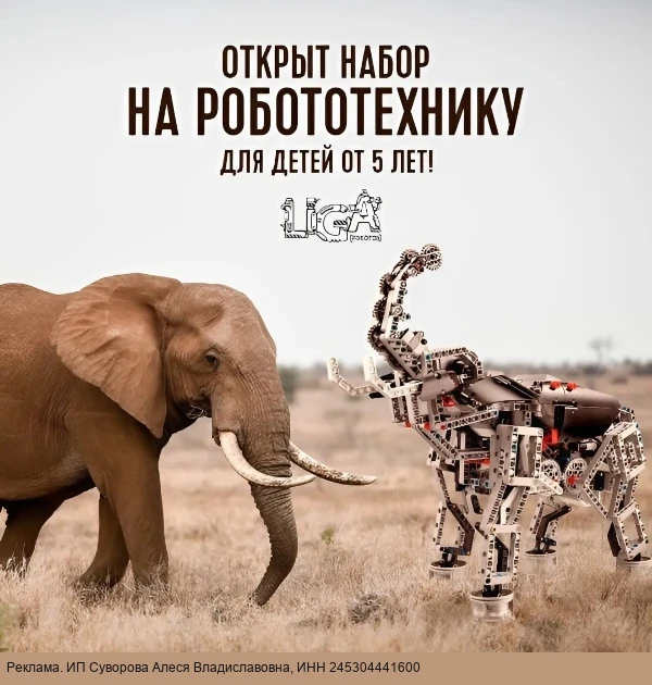 Робототехника для детей в Красноярске!