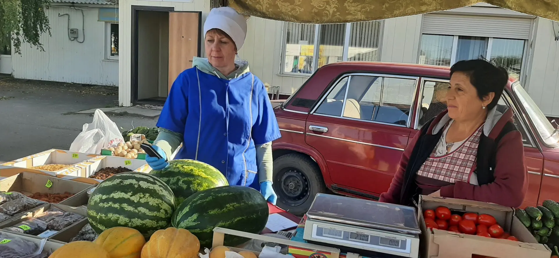 🍉Специалисты ОГУ «Екатериновская районная СББЖ» в обязательном порядке проводят ветери...