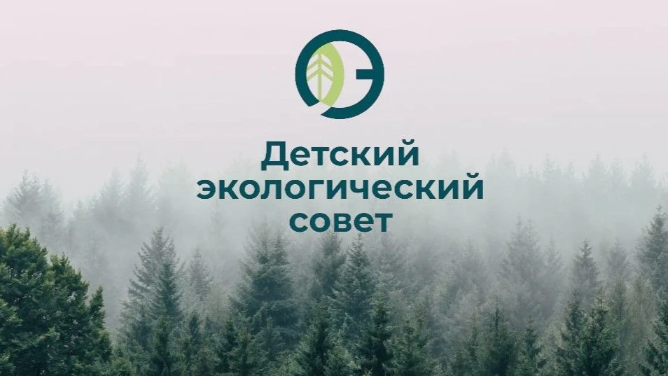 🌳 Лучший детский экологический совет Кубани
 
Передовой практический опыт работы детских экологичес