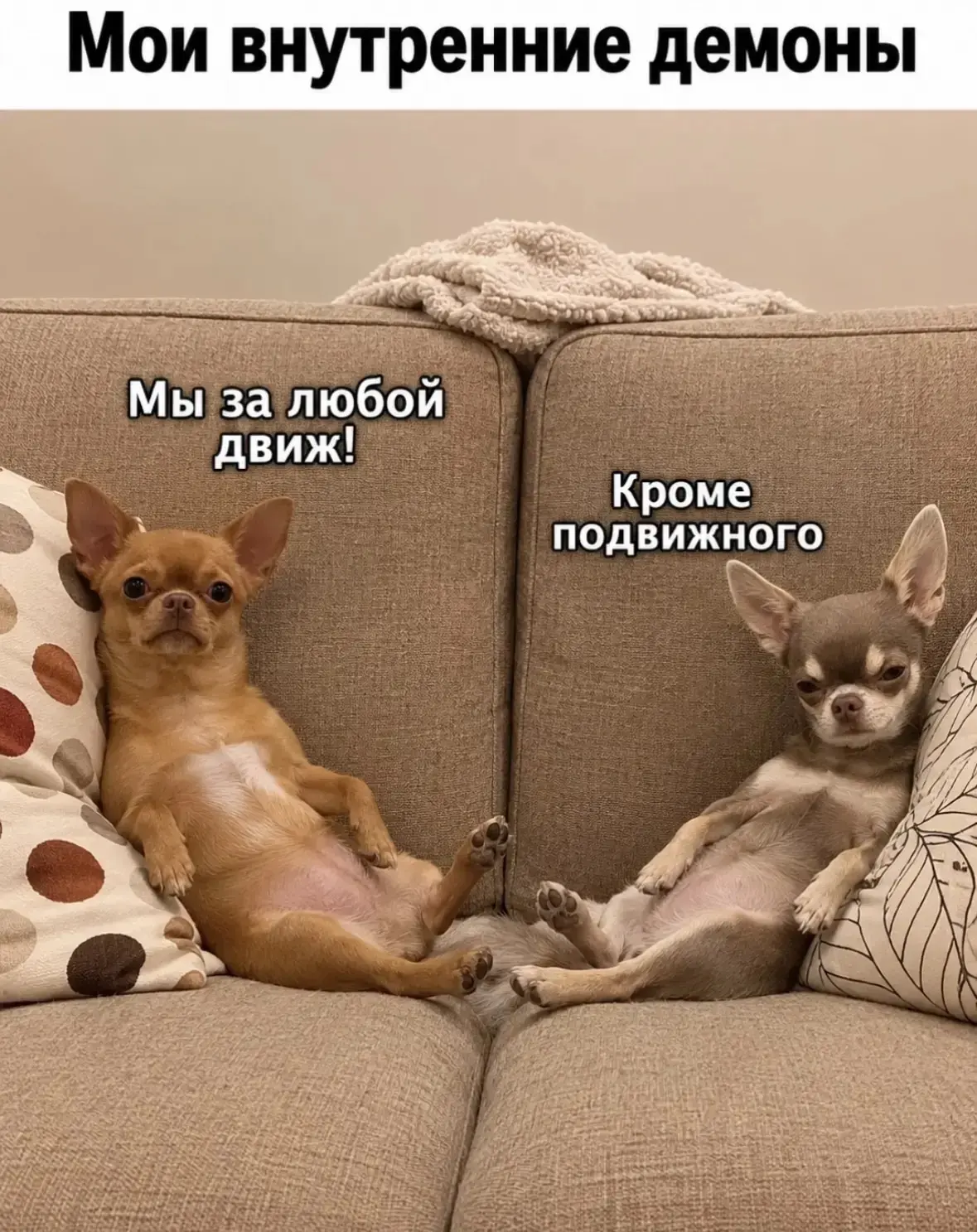 И кроме голодовок