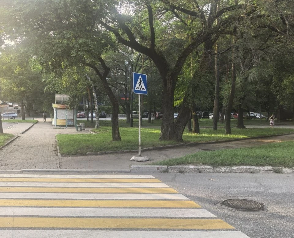 Знак пешеходного перехода, установленный на тротуаре, мешает пройти хабаровским пешеходам 🫠

Хабара