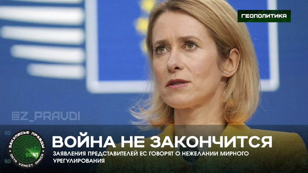 Война не закончится — заявления представителей ЕС говорят о нежелании мирного урегулирования

Как Ка