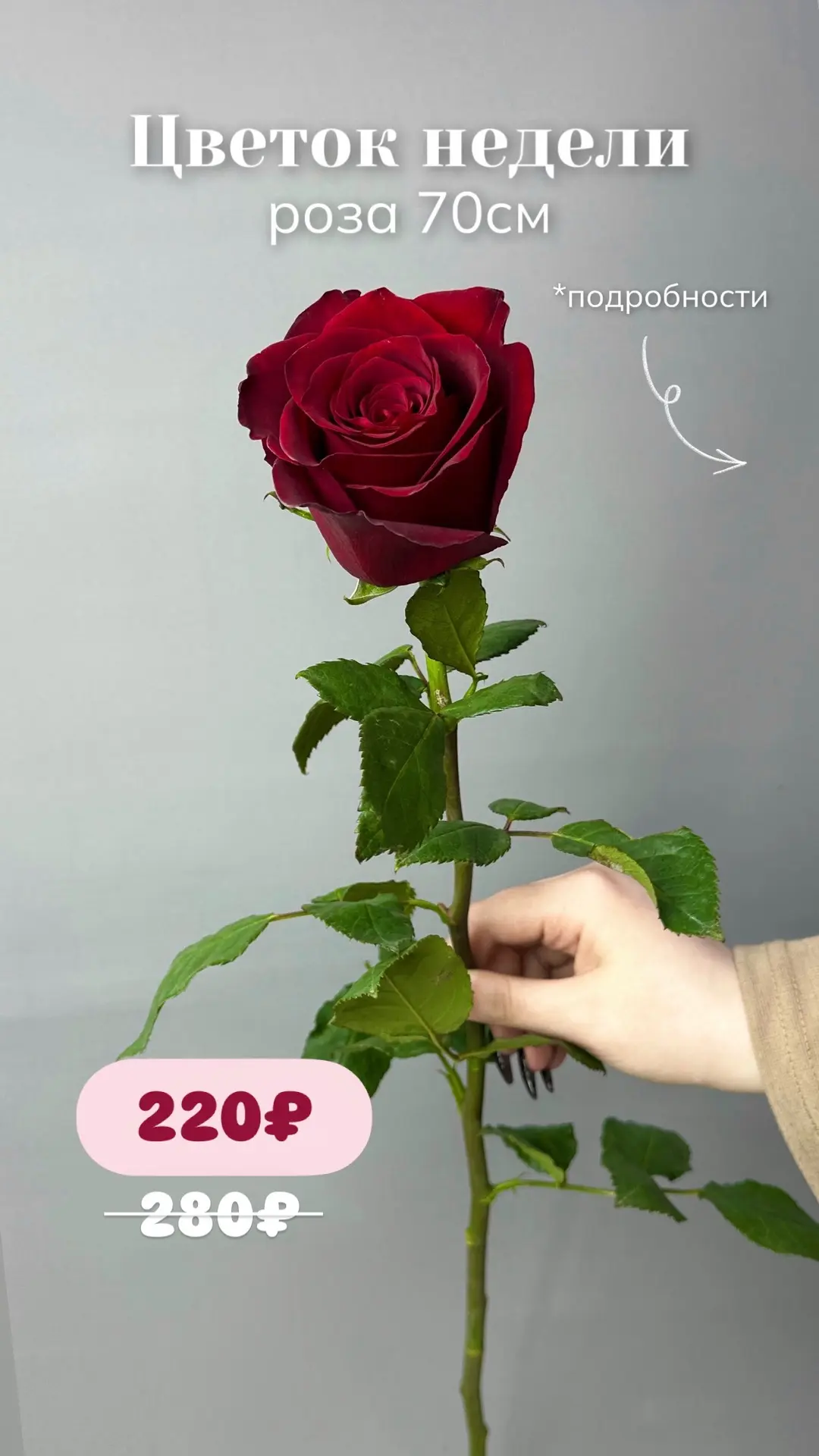 🌹Цветок недели - РОЗА