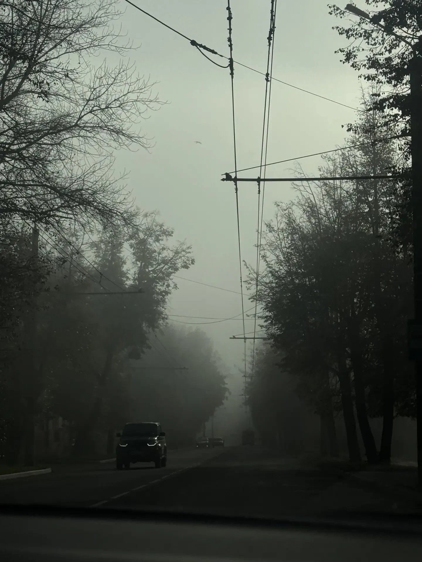 Город в тумане