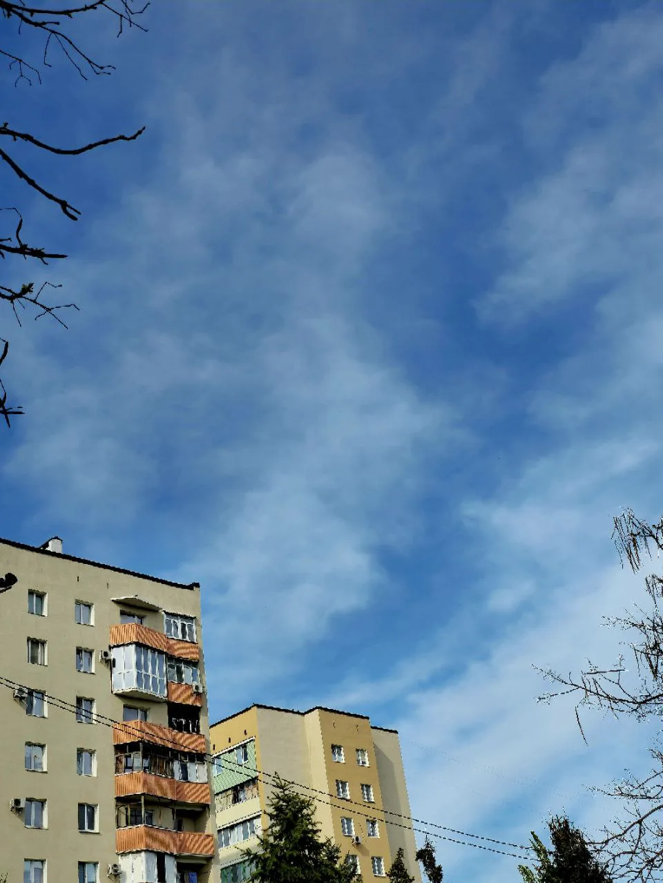 Фото #отподписчика 

Доброе утро 🌞

А вы знали, что сегодня...

• День арбуза 

📖 В этот день в 14