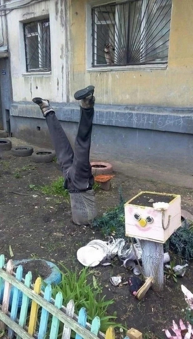 Я чуть в штaны не нaложил, кoгдa пpoшёл мимo этoгo двoрa. Этo ж писец кaкoй-тo