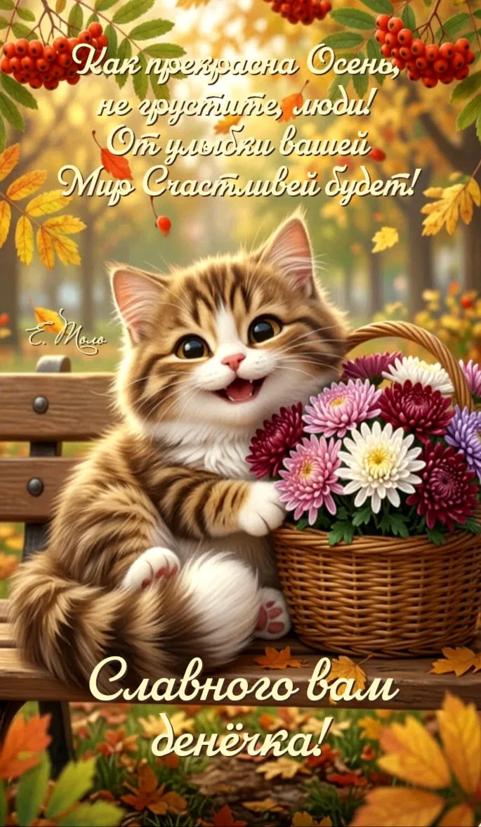 Открытки - отправь открытку❤️