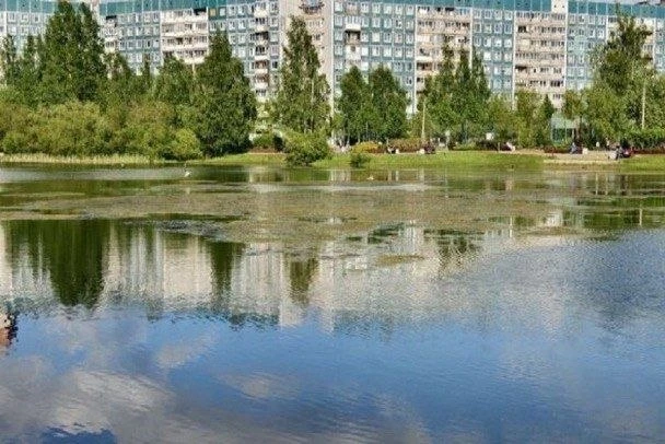 Цветение водоема в Новом Девяткино признали естественным природным процессом

Специалисты комитета г