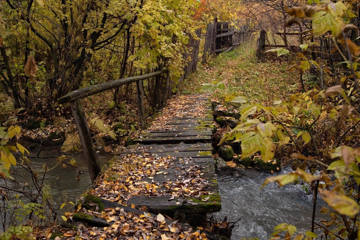 Завтра сентябрь 🍁