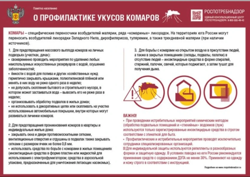 Всемирный день комара. Средства от комаров: какие выбрать и как использовать