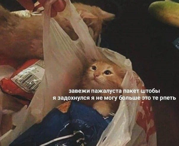 На выходных в Ростове пройдет ежемесячная акция «Экомобиль» 

Мобильный пункт приема вторсырья проед
