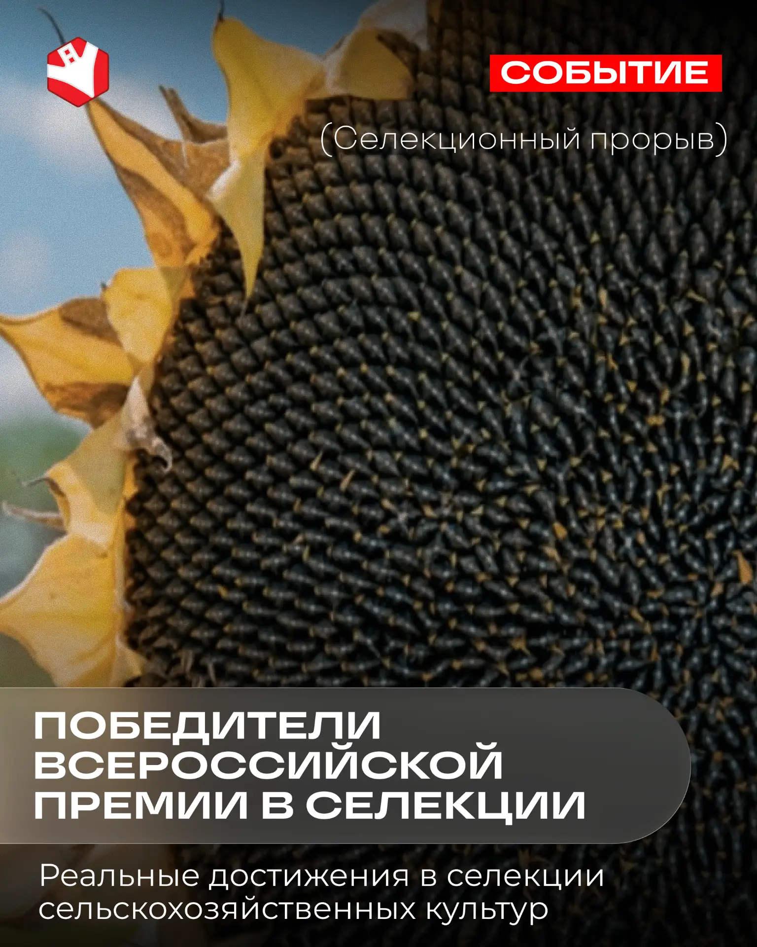 ⚡Узнайте первыми! Кто победил в премии Селекционный прорыв?