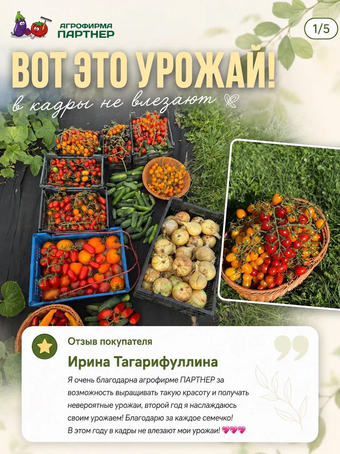 🌱 ВОТ ТАК ВЫГЛЯДИТ УРОЖАЙ ИЗ СЕМЯН ПАРТНЕР!
