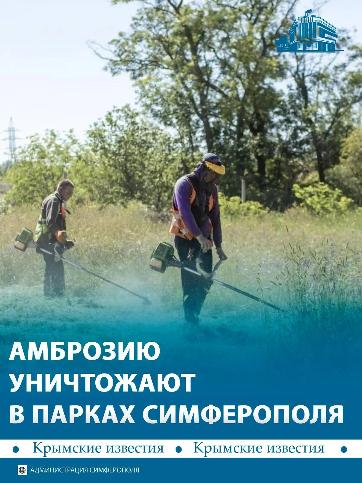 🌱 Парки и улицы Симферополя обрабатывают от амброзии. Работы провели уже на площади в 40 гектаров.
