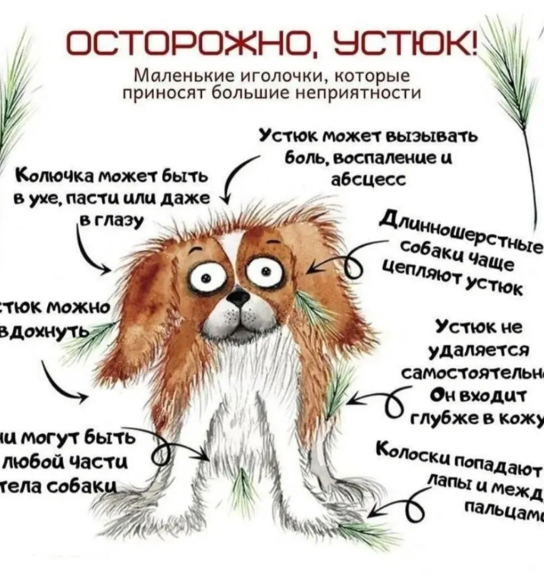 Картинка из интернета.