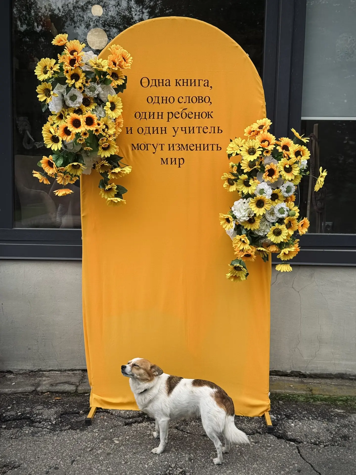 И одна собака))