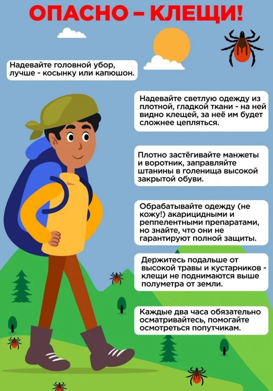 📌 Осторожно – клещи! Памятка для детей и взрослых.                                                 