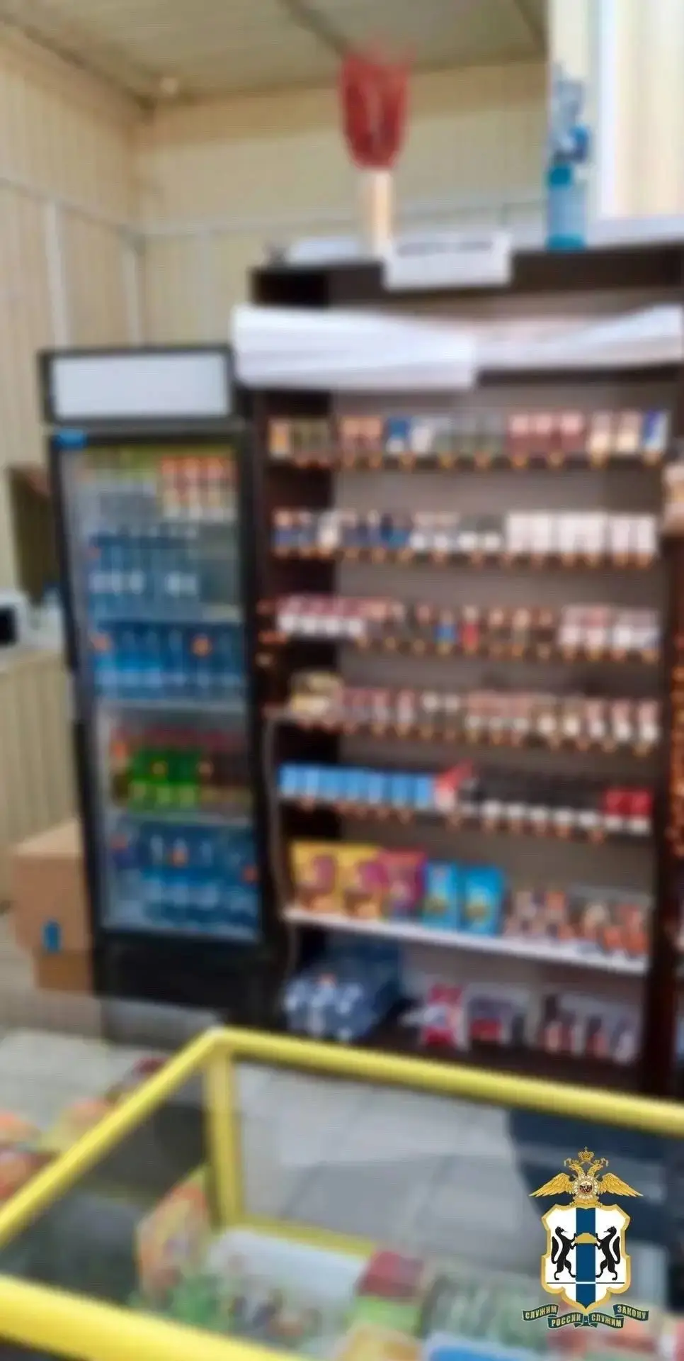 В Новосибирске полиция изъяла немаркированные сигареты и никотиносодержащую продукцию н...