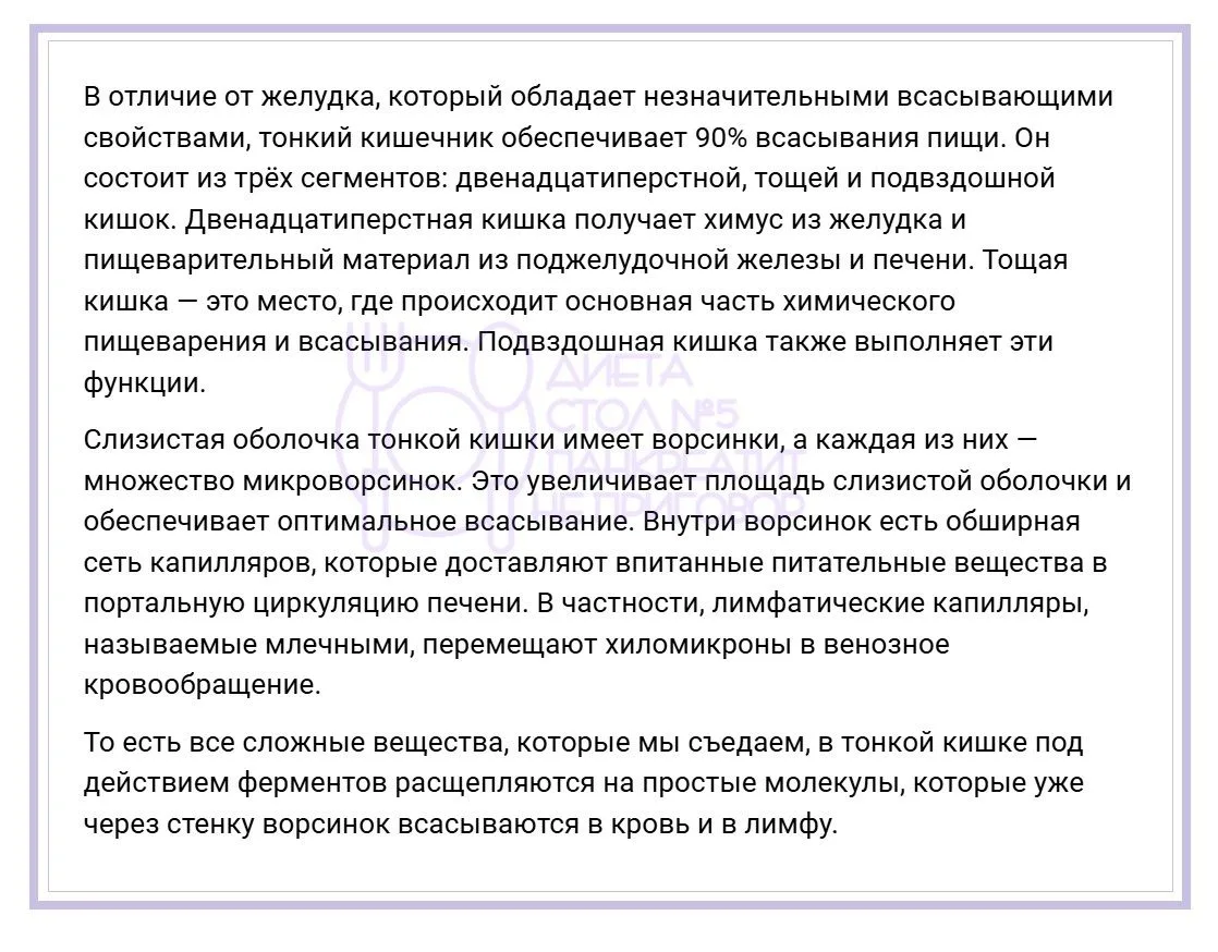 Гдᴇ нᴀчинᴀᴇᴛᴄя ᴨᴩᴏцᴇᴄᴄ ᴨищᴇʙᴀᴩᴇния? . Путешествие по самой удивительной системе нашего организма — в