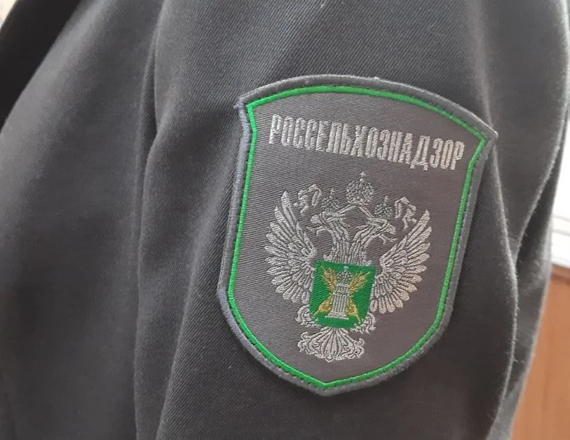 Саратовский производитель мясных полуфабрикатов устранил нарушение после вмешательства Россельхознад