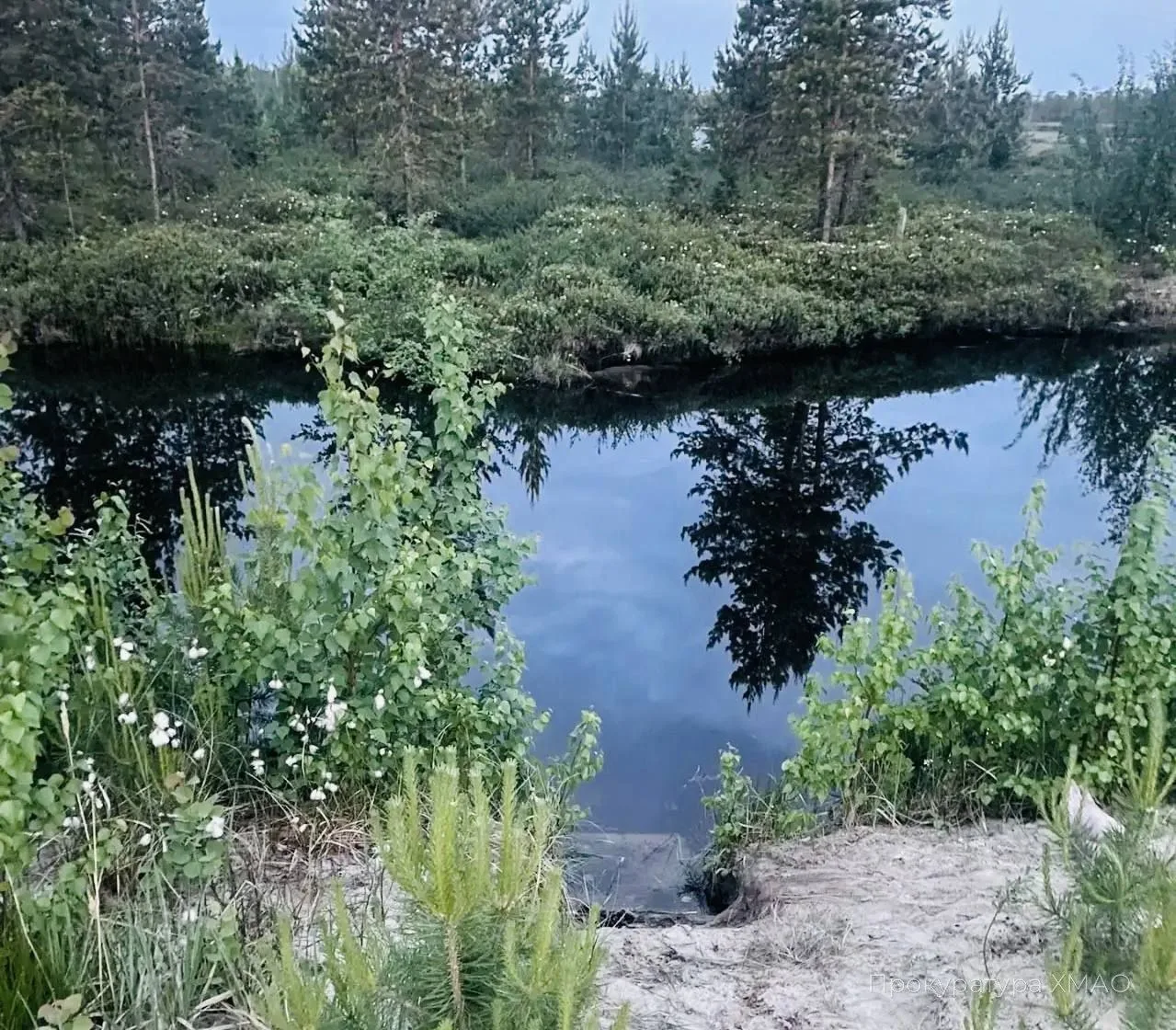 ❗️17-летний парень утонул в Когалыме.

Вечером 12 июня он пошел купаться в водоеме на территории СОН