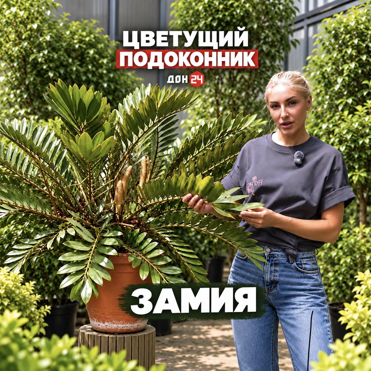 Flower Butik — в программе «Цветущий подоконник» на телеканале «Дон 24» 🌿