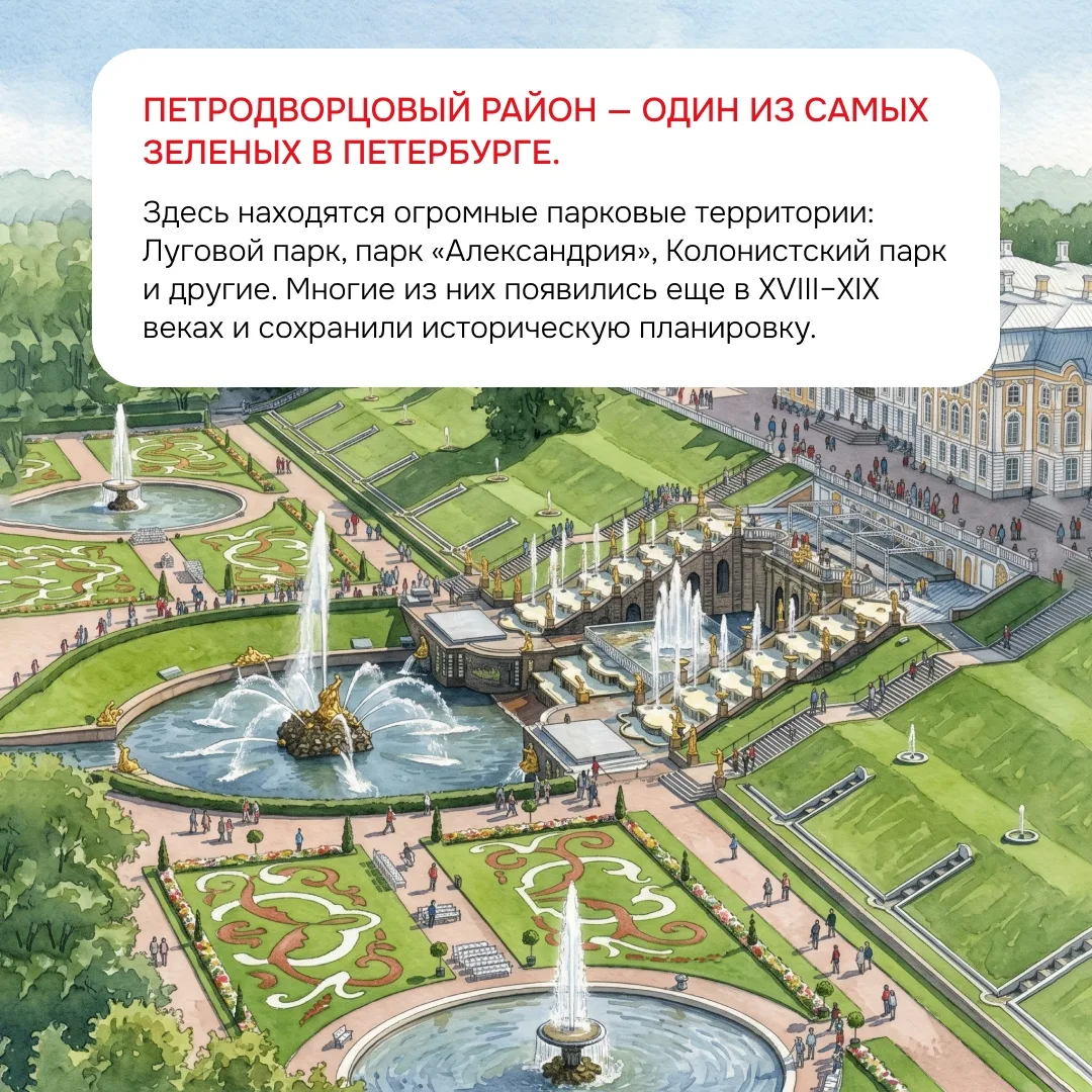 Несколько фактов о Петродворцовом районе