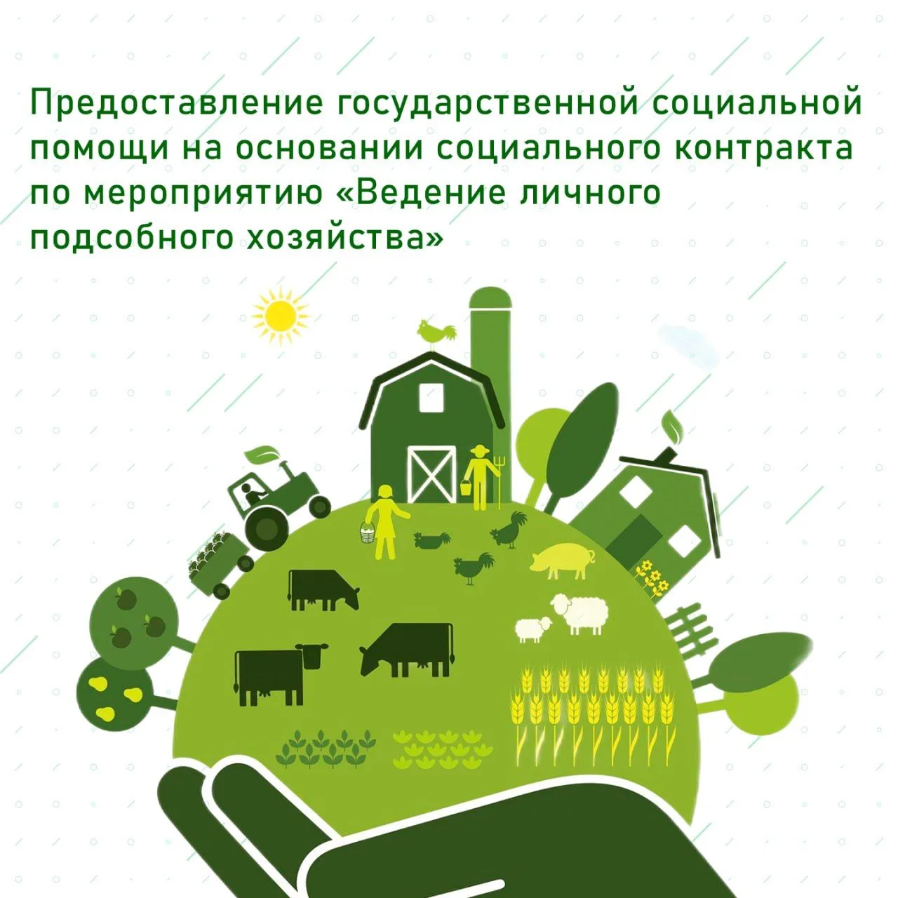 ❗️ Более детальную информацию можно получить, обратившись в Государственное казенное уч...