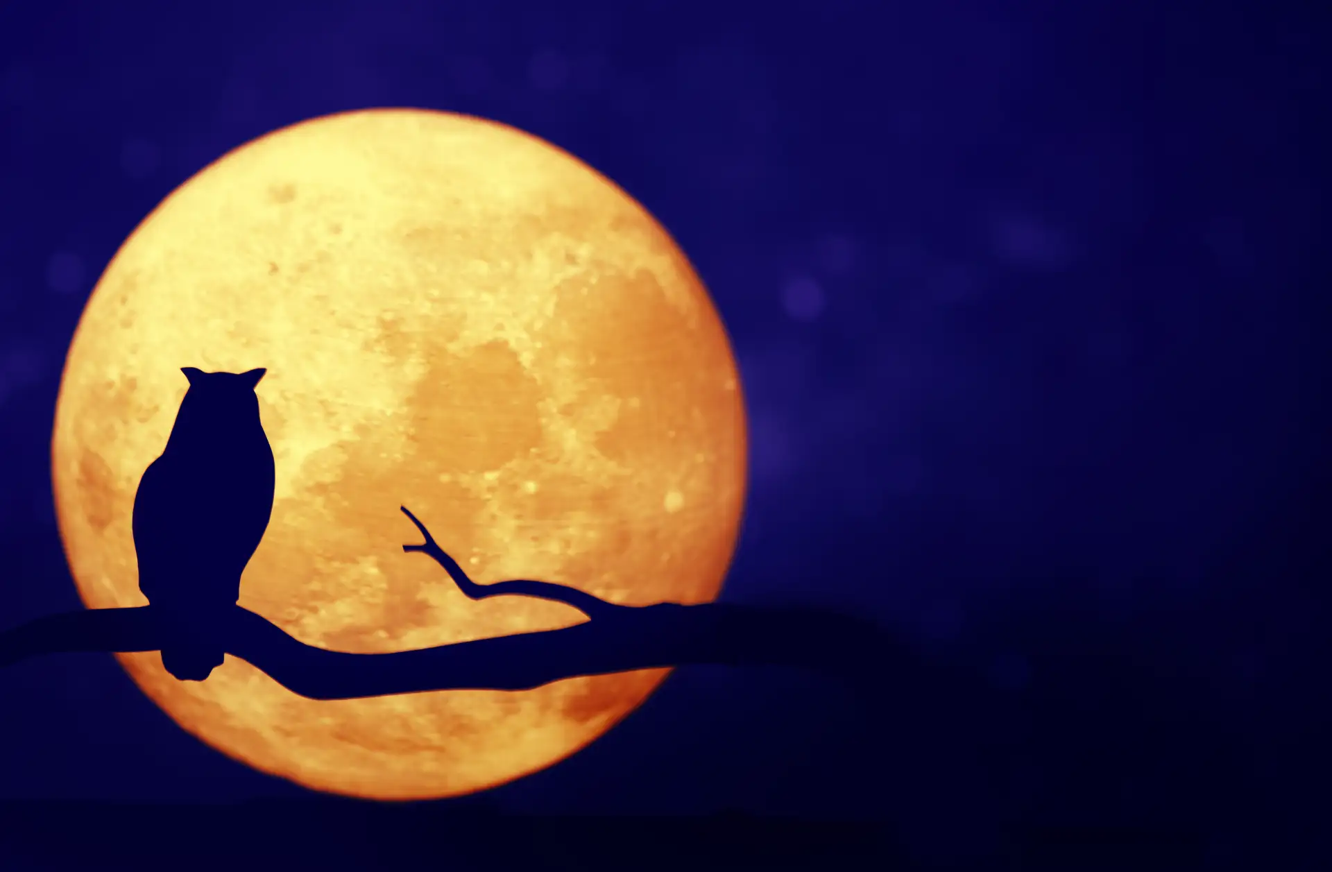 🌕 Люберчане смогут увидеть «оленью» Луну
 
Всего несколько минут после восхода спутника Земли сегод