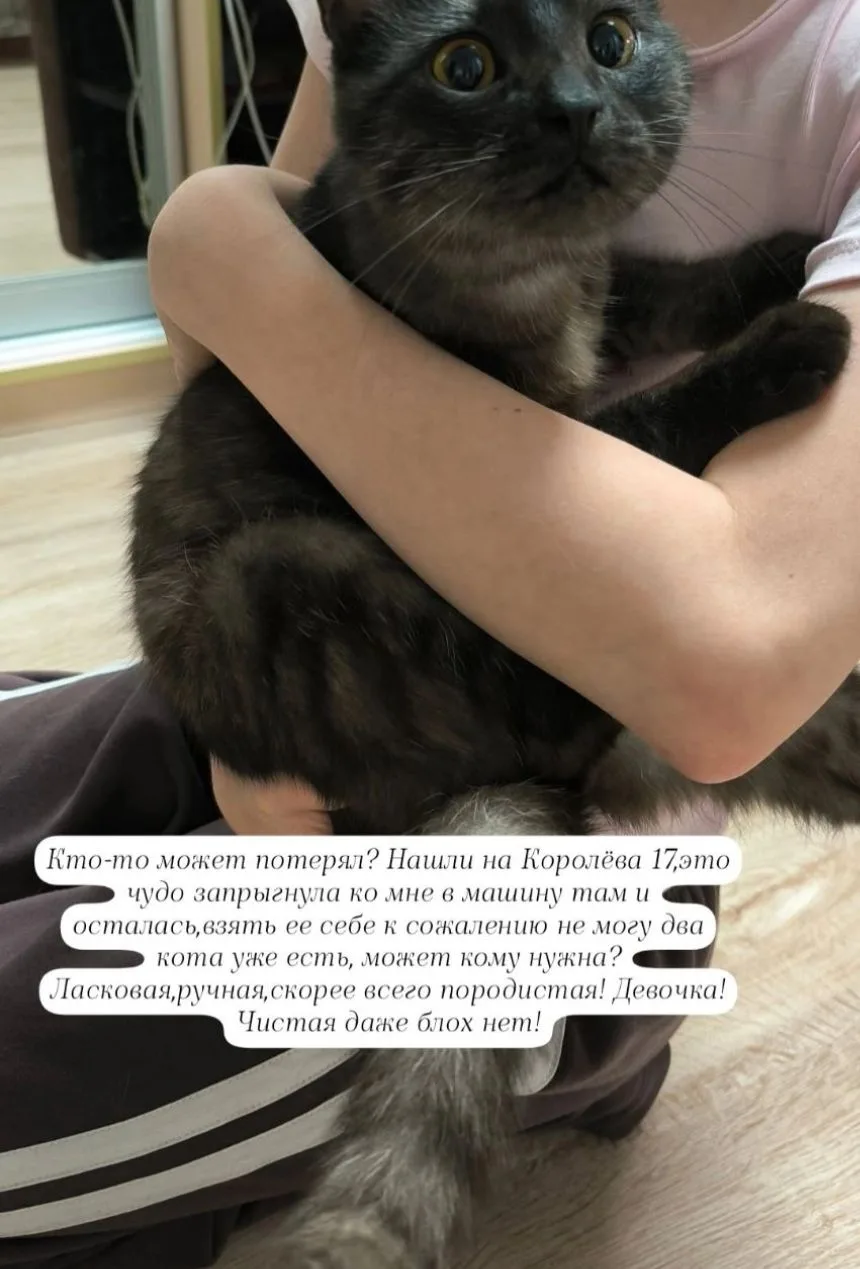 Может кто то ищет?