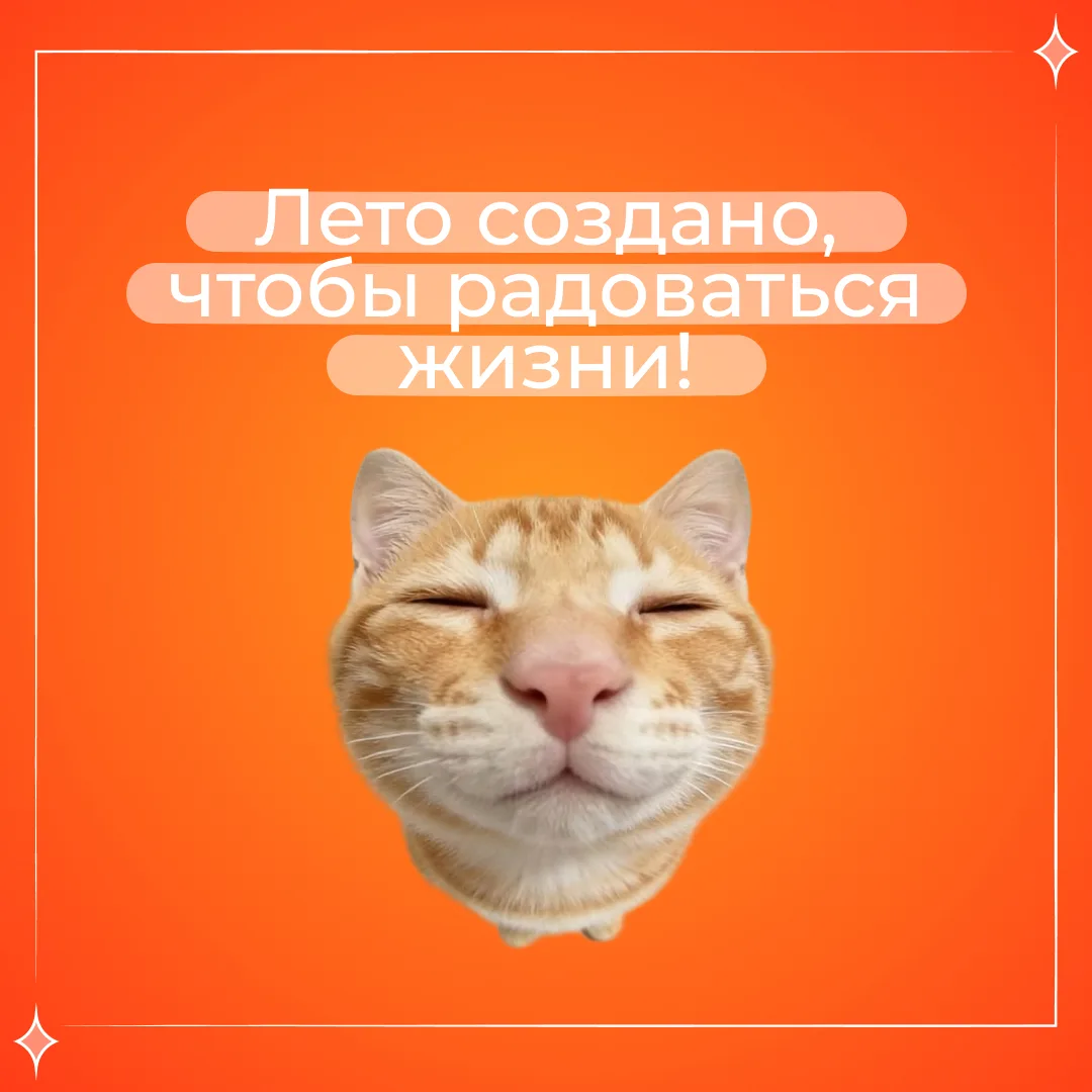 Ты уже сделал всё, что мог. А значит самое время, отложить все дела и наслаждаться этим...