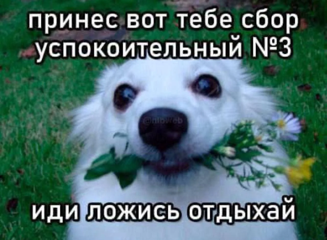 Всем ночь!)