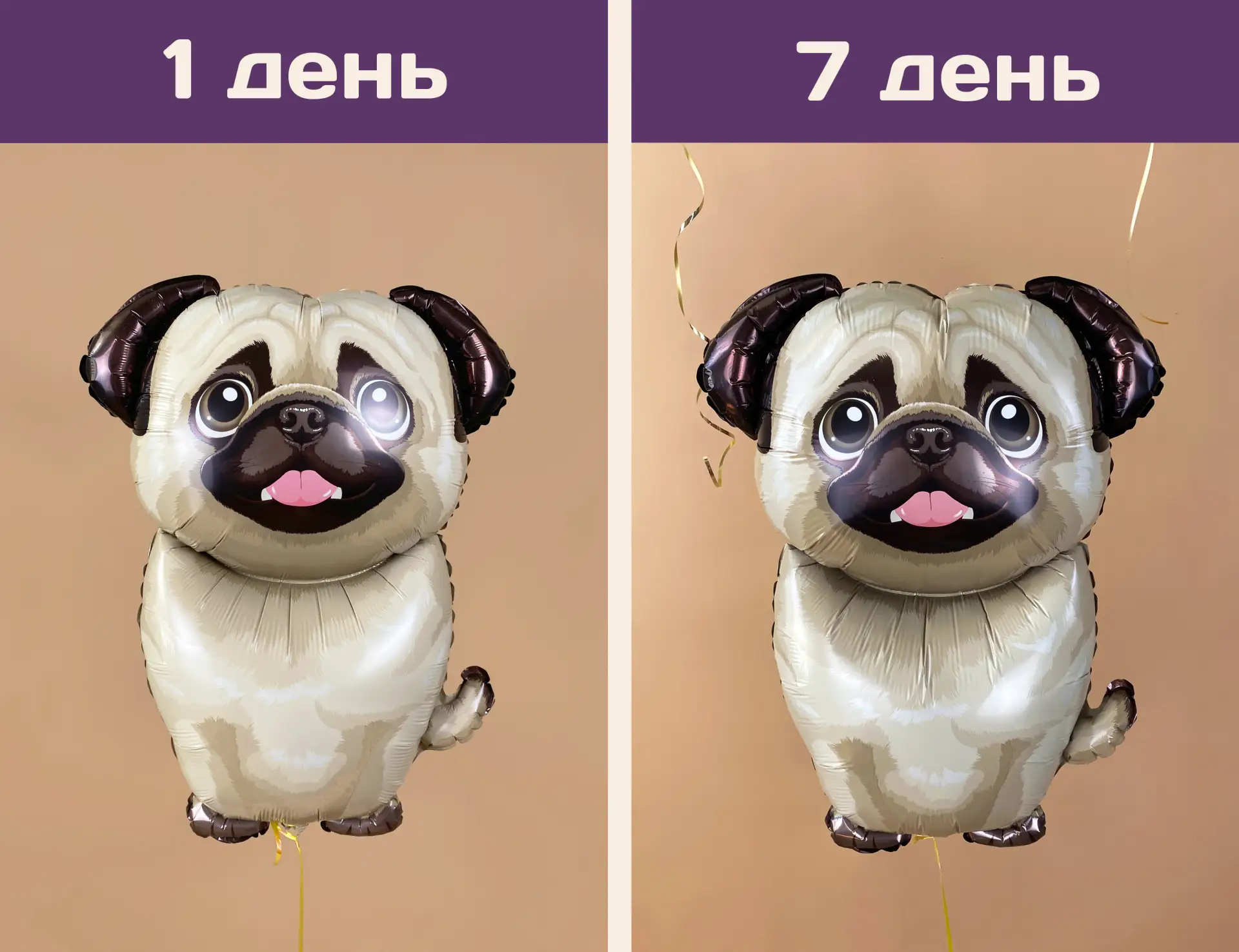 ✨ТЕСТ

Показываем, как шар летает спустя неделю!

💜 Забавный мопс оставался в полёте около пяти дне