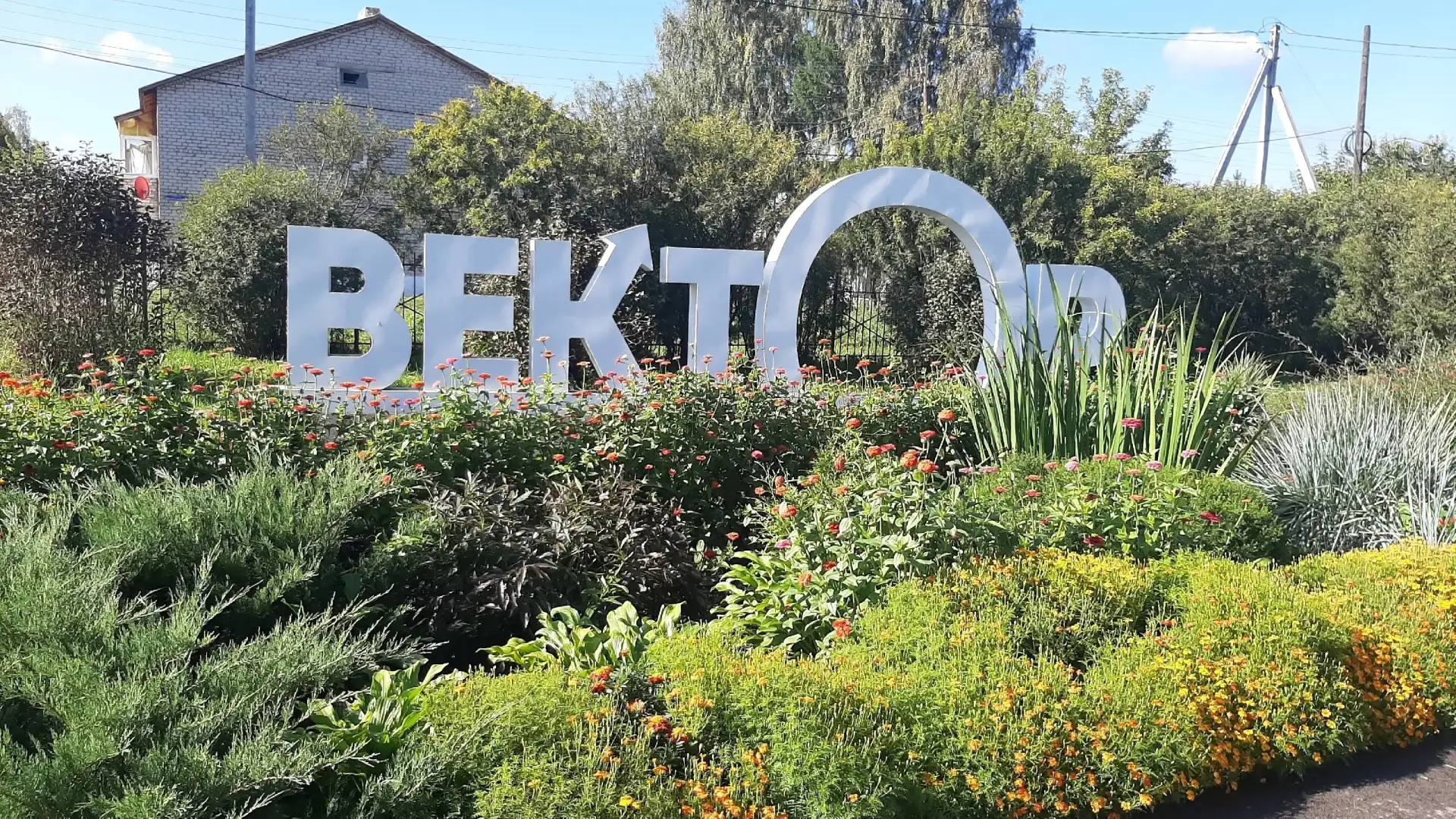 ‼🏆 УРААА! Плехановская школа - ПРИЗЕР муниципального конкурса на лучшее оформление тер...