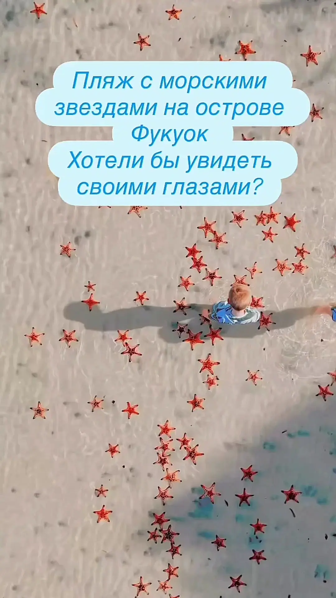 Видео: https://vk.ru/clip-59717399_456240967