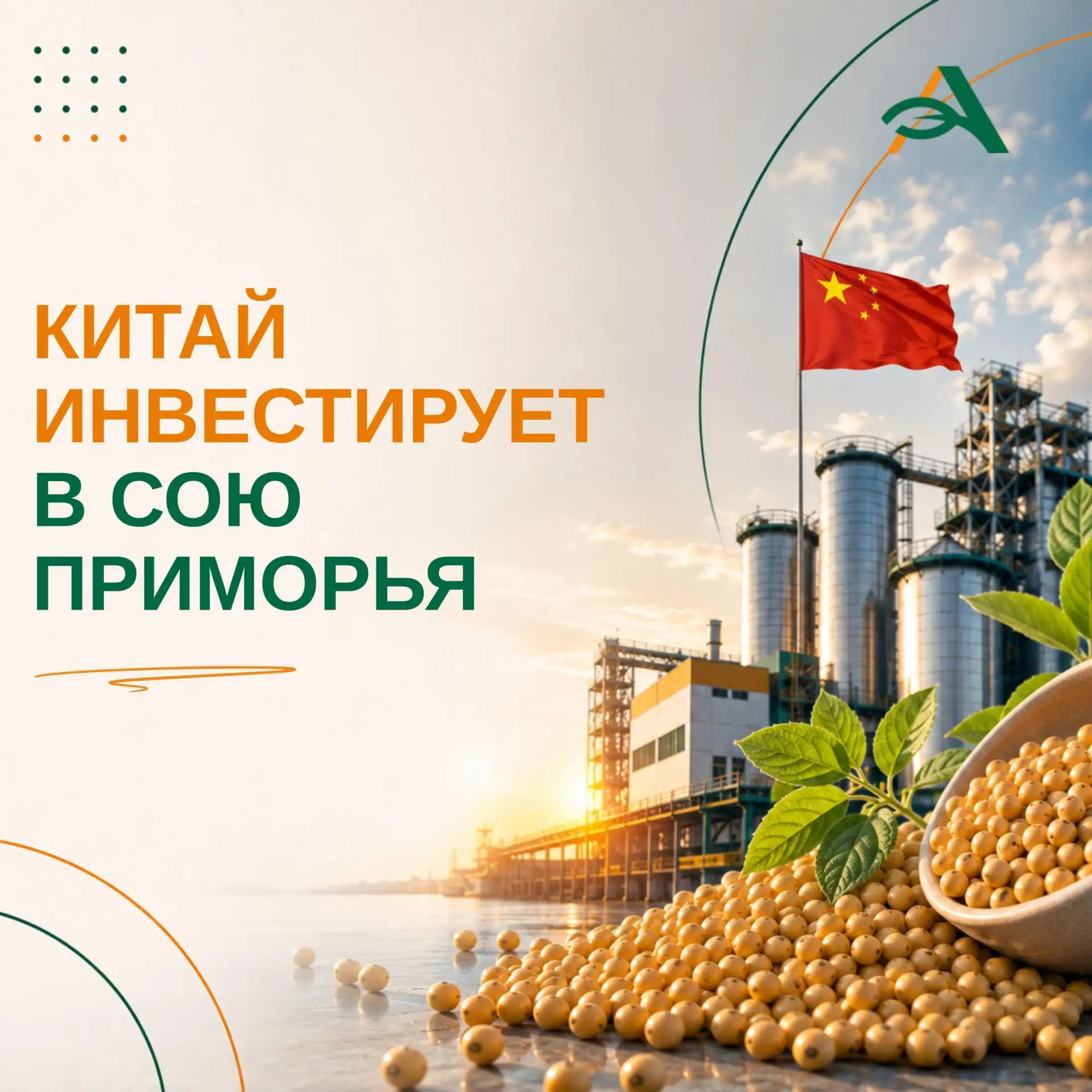 🏭Китайский инвестор построит завод по переработке соевых бобов в Приморье
