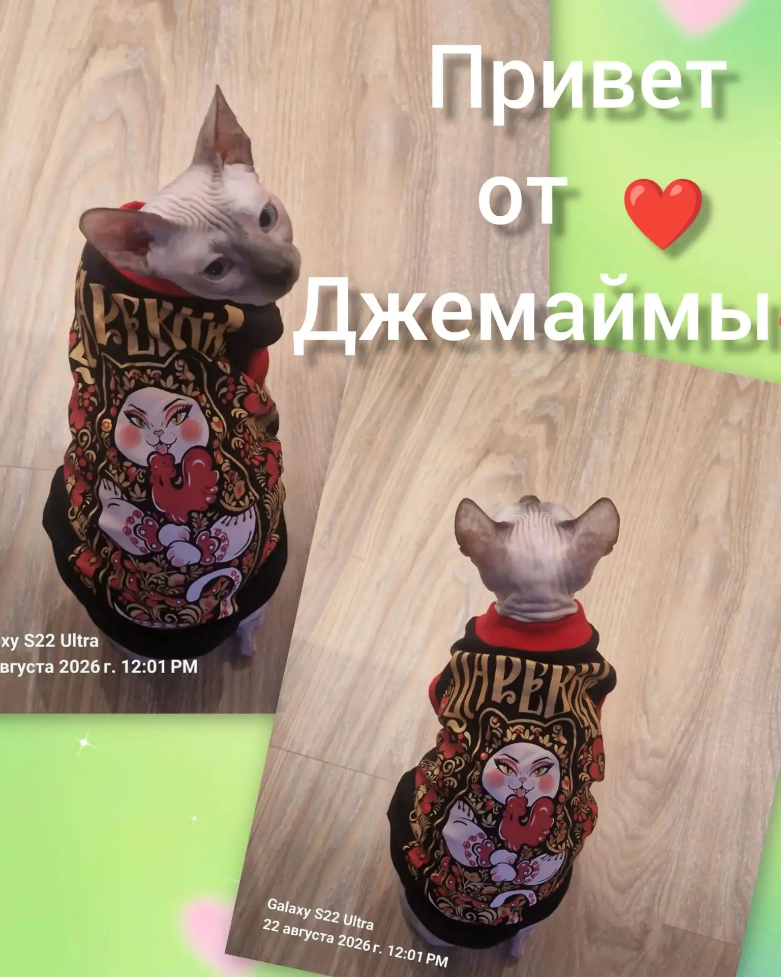 🇷🇺 **С Днем Государственного флага России от Джемаймы!**