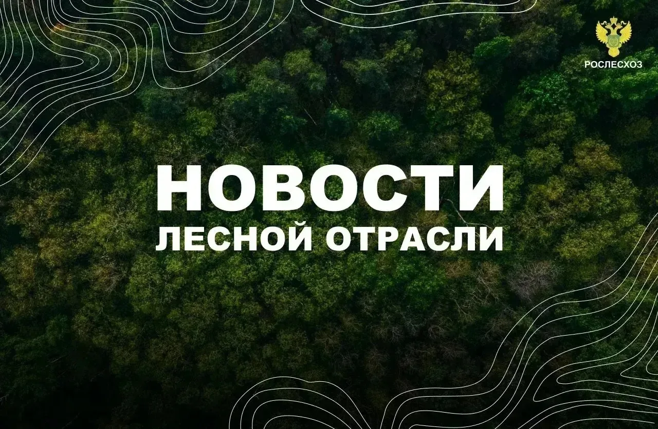 🟢 AK&M: Рослесхоз: отменены 2 региональных правовых акта с нарушением лесного законодательства

🟢И