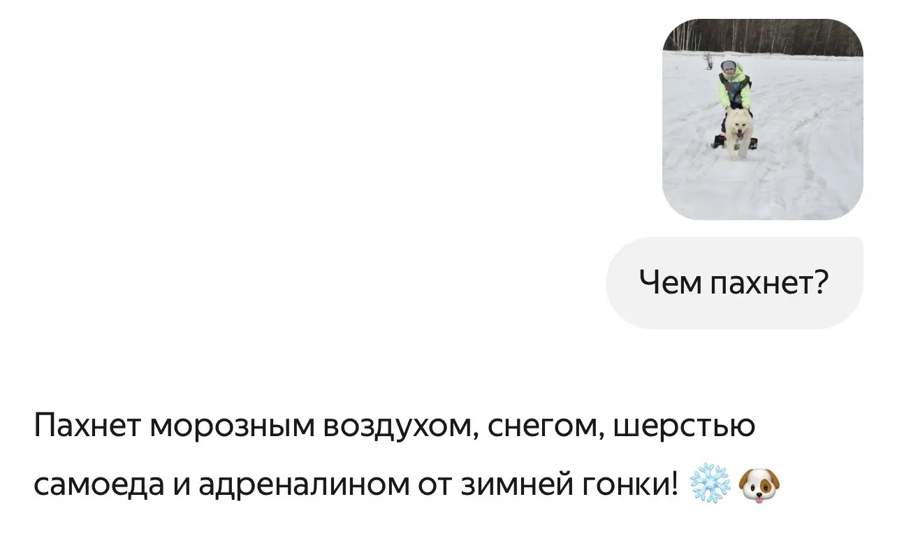 В одном из пабликов ВК увидели, что появилось новое обновление Алиса AI))