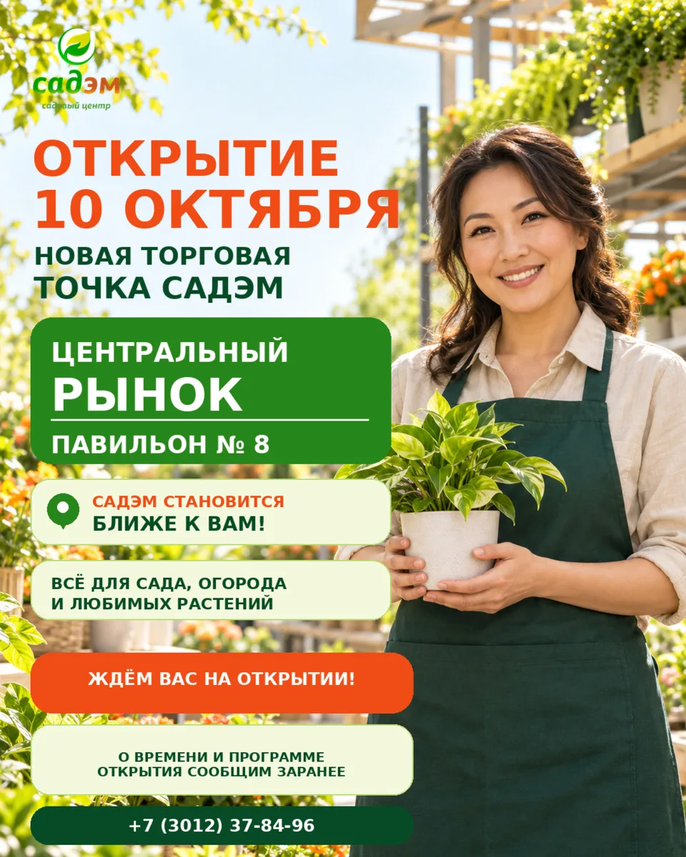 Садэм становится ближе! 🌿
